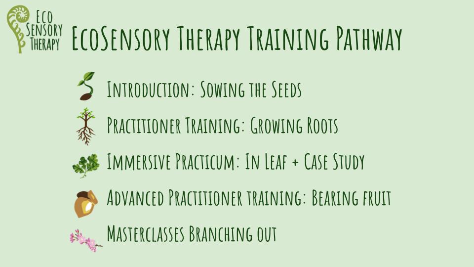 EcoSensory Therapy Training Pathway-2